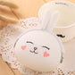 Cartoon silica gel zero purse Korean lovable rabbit zero purse candy color packet key bag lady bag